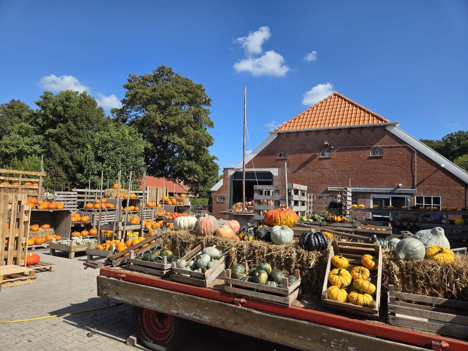 De Pompoenenschuur KielWindeweer