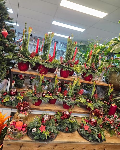 Leuke kerststukjes bij Bloemisterij van der Pol.