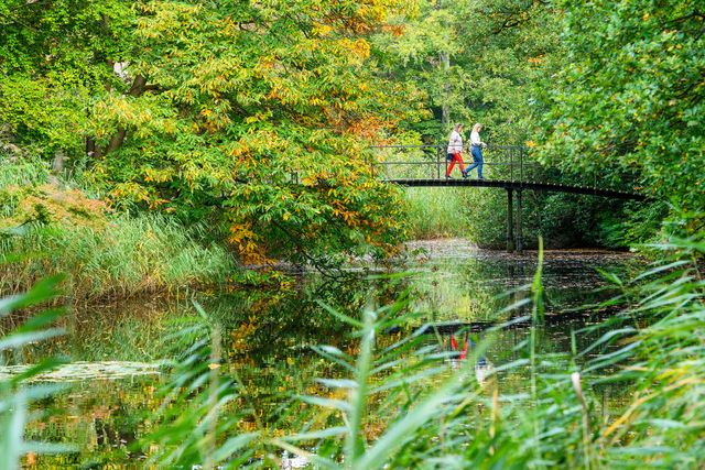 Landgoed Schaep en Burgh met wandelaars