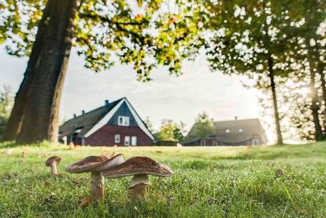 Herbst in Drenthe / Herbstferien