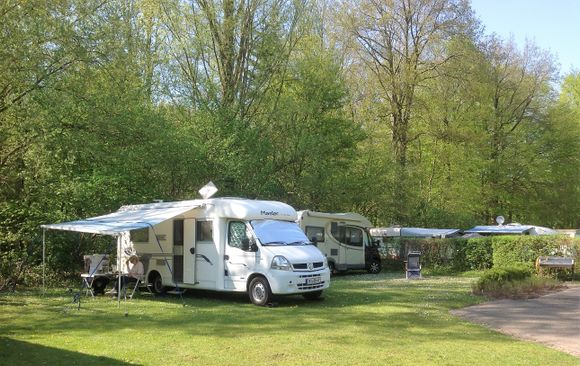 Camping Het Bosbad photo 5
