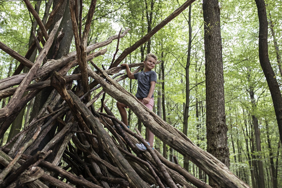 Ein kleiner Junge steigt in den Wald auf einem großen Haufen Äste.
