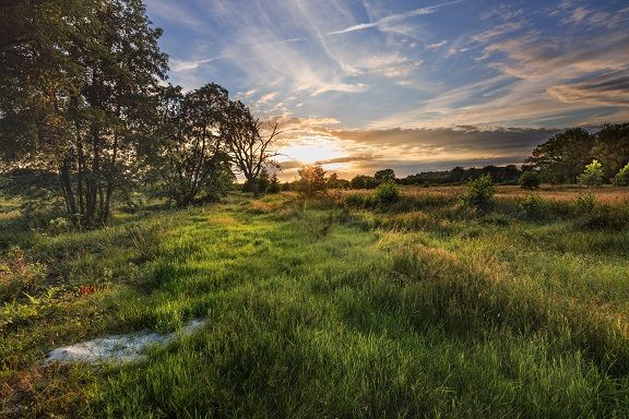 Een foto van de Maashorst met zonsondergang.