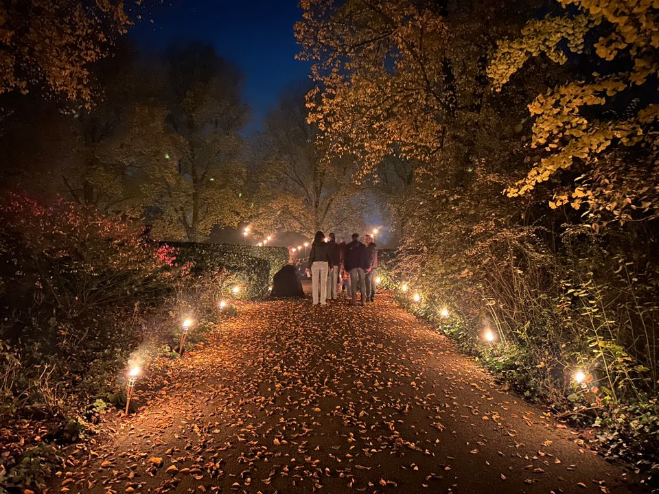 Licht op Noorderveld 2025