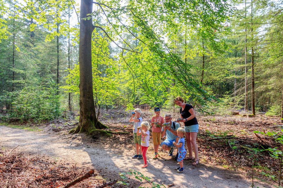 wandeling, nphv, gezin