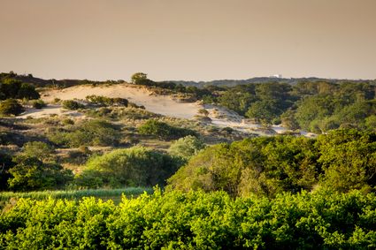 Nationaal Park Hollandse Duinen, duingebied Meijendel in Wassenaar.