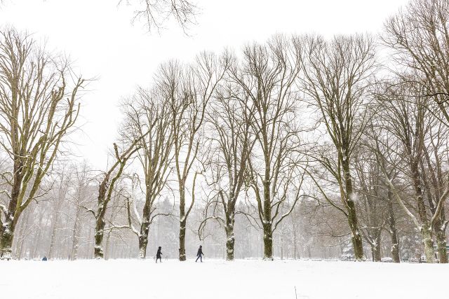 Winter met sneeuw in Eindhoven