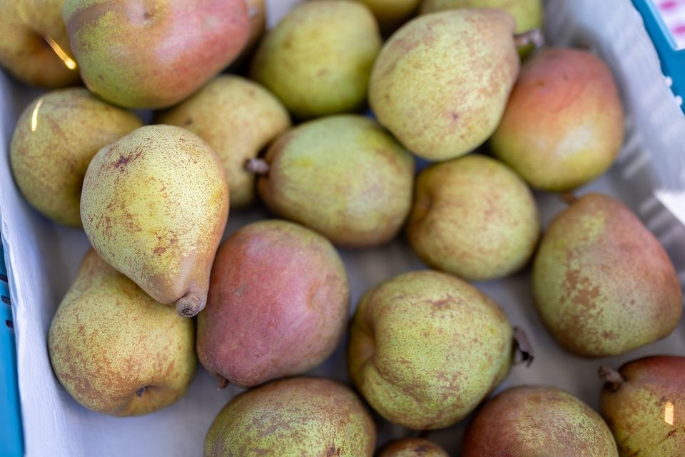 Peren van Fruitteeltbedrijf Tromp