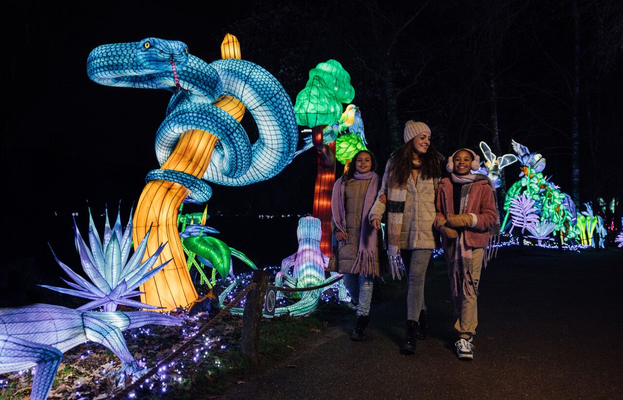 Beekse Bergen Light Safari