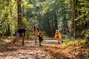 Gezin in de herfst in de Oisterwijkse Bossen en Vennen