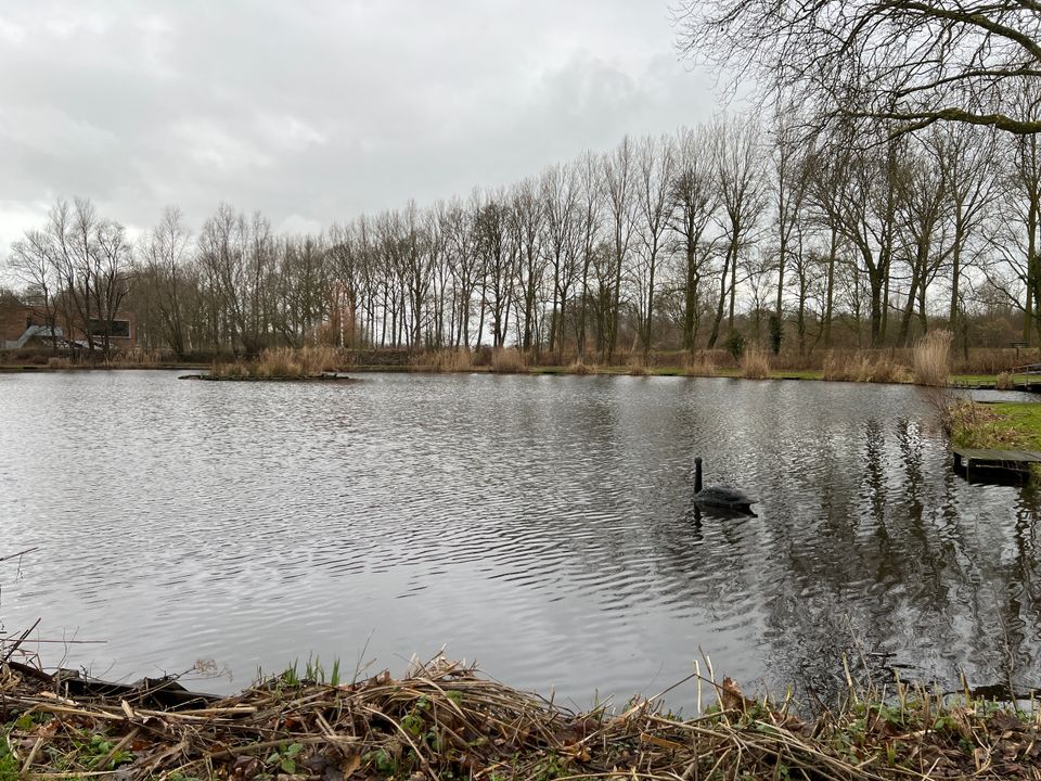 Visvijver Het Geduld