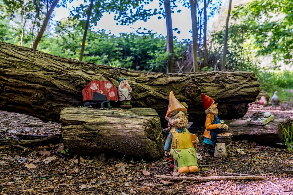 Kabouter Bos Renesse
