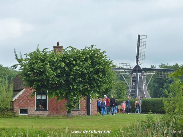Rondleiding langs de woudhuisjes