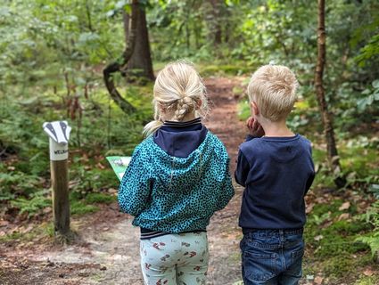 Dassenpad Elfbergenbos Gaasterland - Mar en Klif
