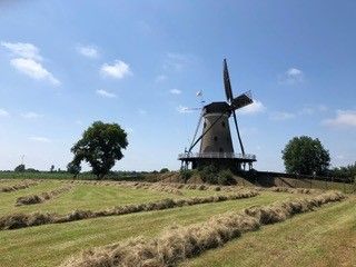 Molen de Windhond op De Engh