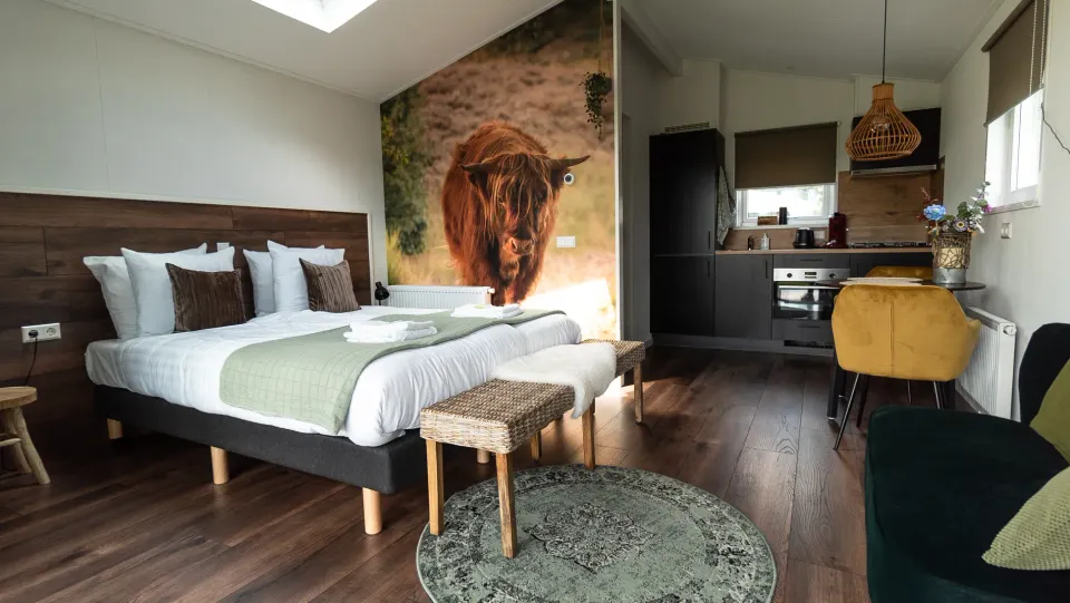 B&B Grenzeloos Doldersum , slaapkamer in Zuidwest-Drenthe.