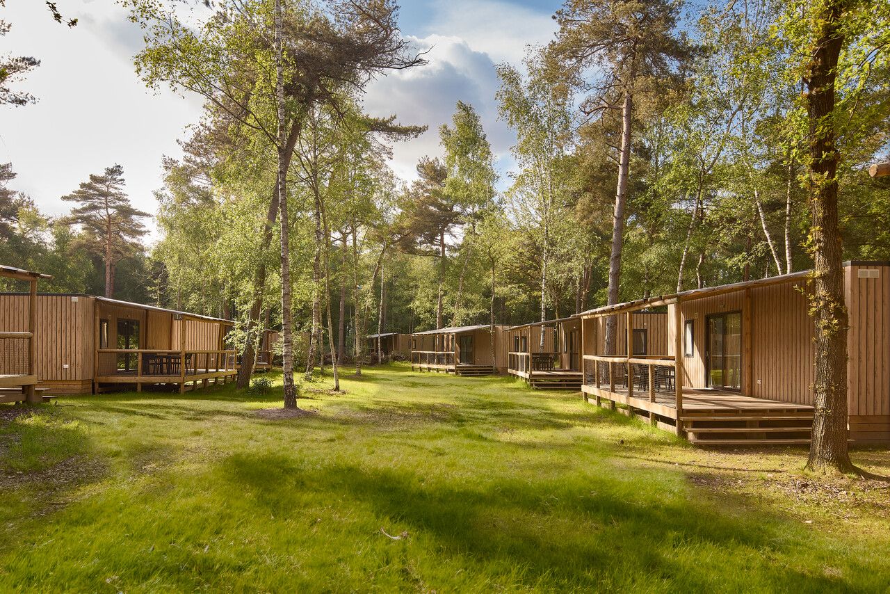 Lake Resort Beekse Bergen