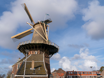 Molen de Roos in Delft