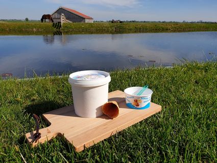 Een pot ijs, ijshoorntje en klein bakje ijs op een plank in het gras aan het water. Op de achtergrond een koe in een weiland.
