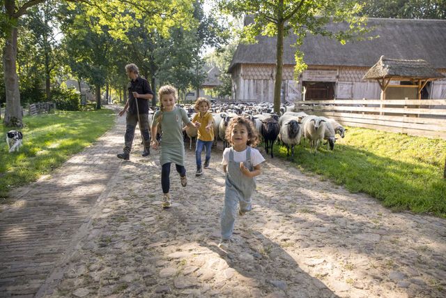 Schaapskudde Orvelte
