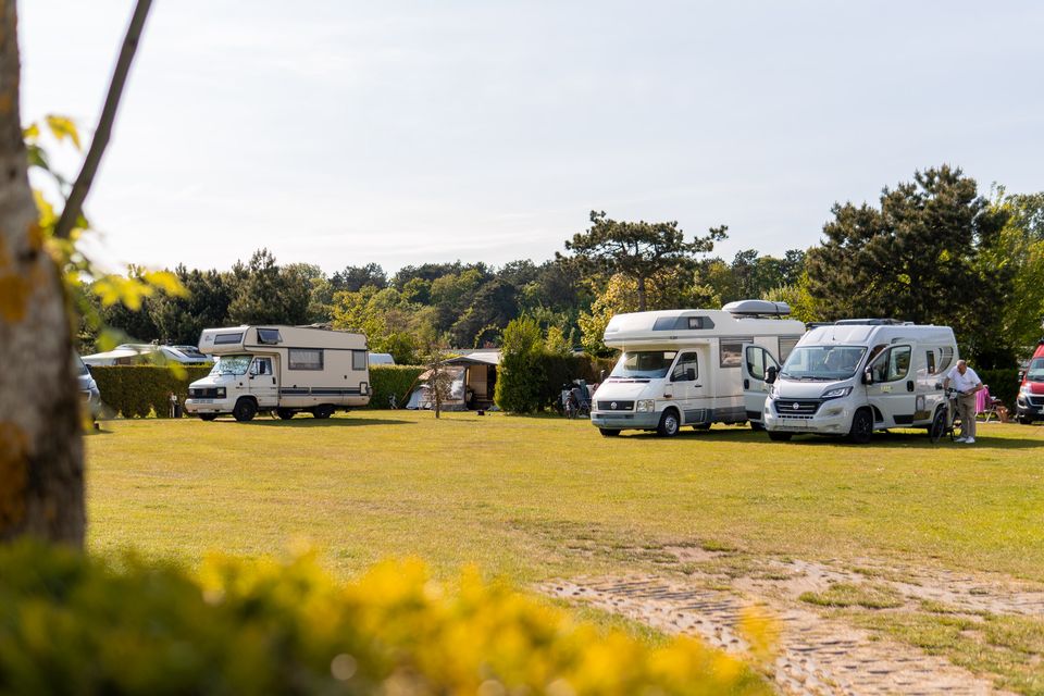 Übersicht der Stellplätze auf dem Camping De Wulp in Noordwijk
