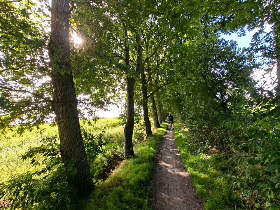 Wandelen door het onverwachte Friese landschap
