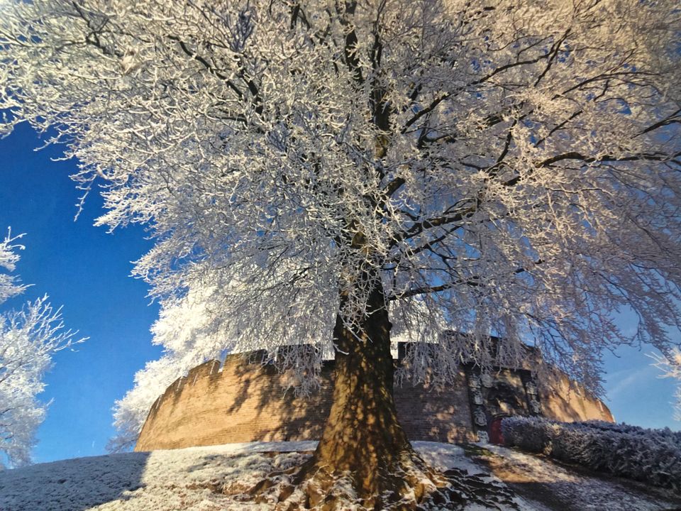 Burcht van Leiden in de winter