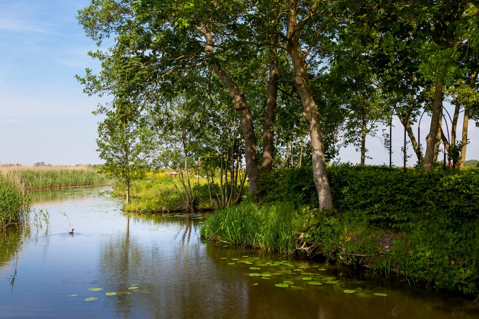 Foto van de natuur in lutkewierum
