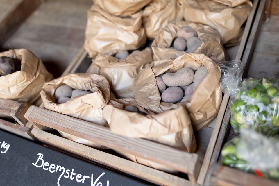 Aardappelen van Beemster Valery