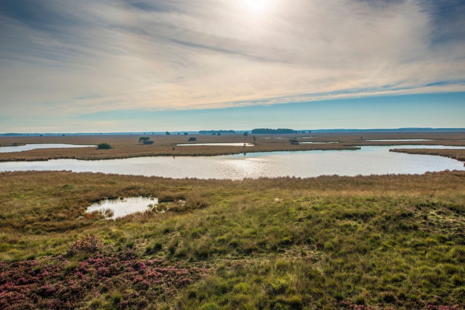 Een uitgestrekte vlakte met daarin wat grote plassen water en hier en daar een boom.