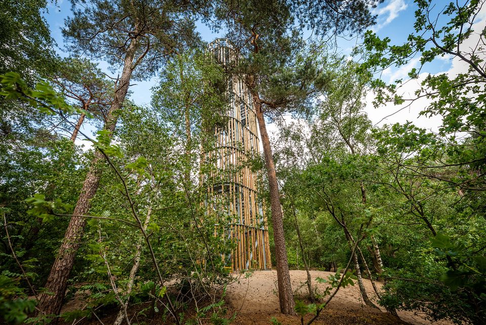 Een foto van Uitkijktoren Herperduin.