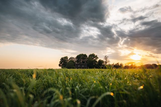 Bauernhof in der Drenther Natur