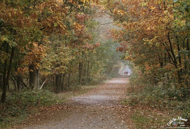 B&B De Bunderkens is gelegen aan het prachtige bos van Dorst