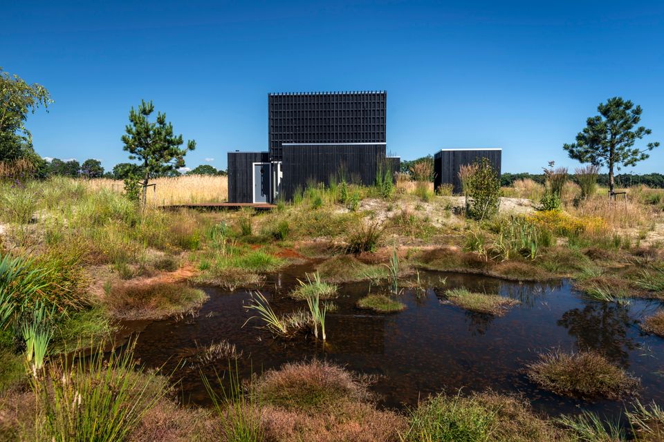 Een vakantiehuisje naast een vennetje midden in de natuur.