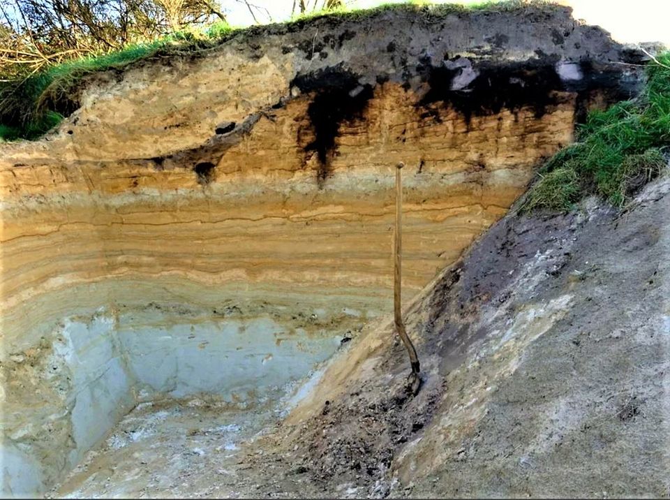 Lezing: De Hondsrug – De wereld onder onze voeten