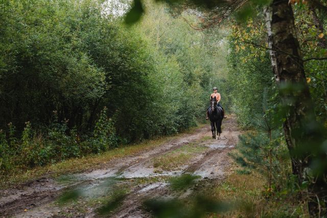 Foto van ruiter in een bos.