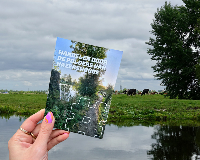 Een vrouw die de wandelkaart met de tekst 'Wandelen door de polders van Hazerswoude met op de achtergrond een weiland met koeien.