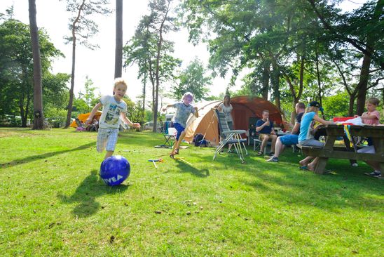 Camping De Grebbelinie