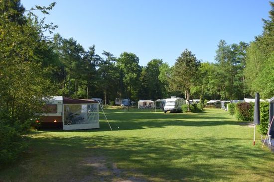 Camping het Horstmannsbos - Photo 3