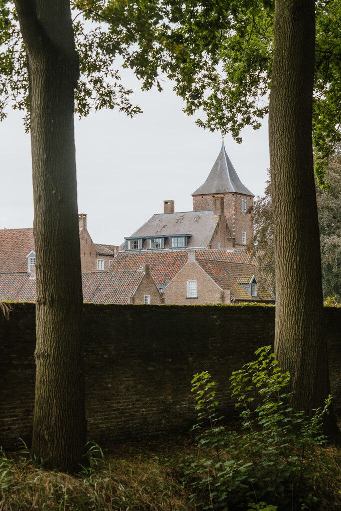 Sint Catharinadal