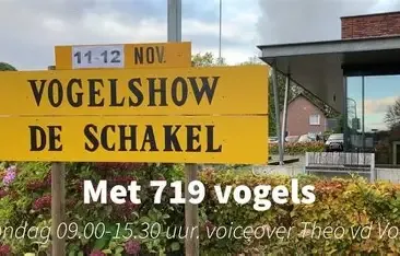 Vogelshow