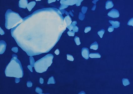 Anneke Savert, Peat Stories part one (detail), 2024, cyanotype