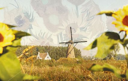 Van Gogh Nationaal Park in Noord-Brabant, een uniek landschap geïnspireerd door de werken en wandelingen van Vincent van Gogh, met aandacht voor natuurbehoud, duurzaamheid en cultuurhistorie