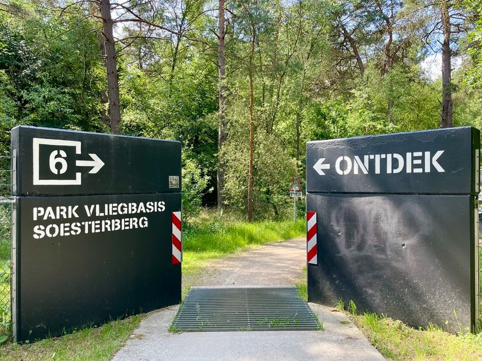 Bos en zandverstuivingen in Nationaal Park Utrechtse Heuvelrug