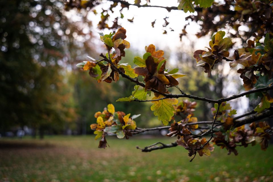 Stadspark Maastricht in herfst