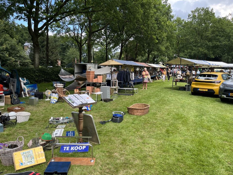 rommelmarkt op grasveld met bomen