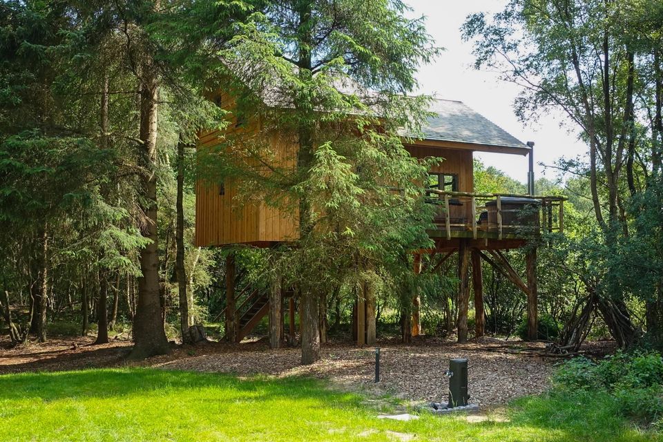 Een xxl boomhut in de Drentse natuur.