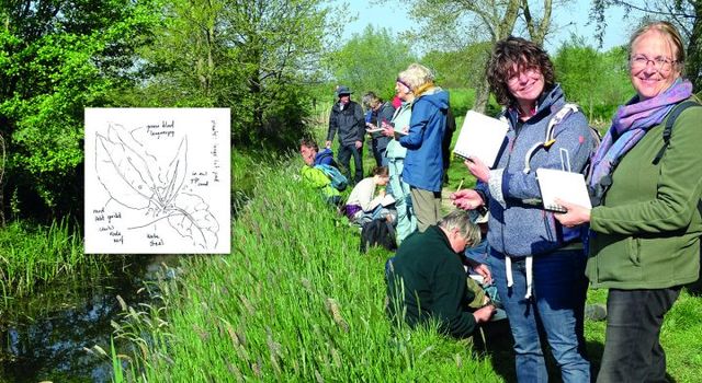 Natuurschetsen workshop