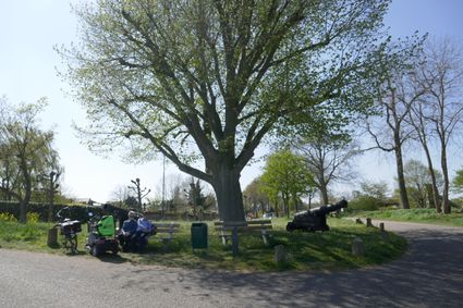 Bankje onder mooie boom met ernaast een kanon in Megen