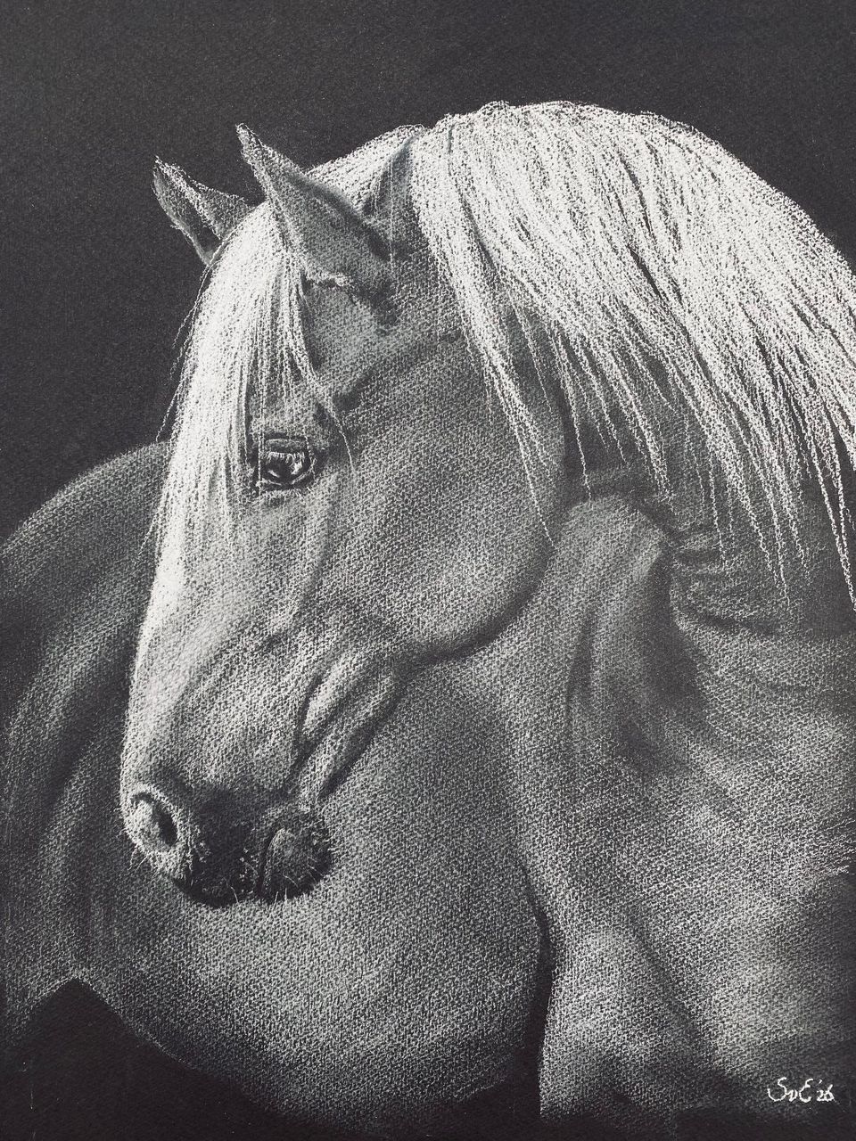zwart-wit schilderij van een paard
